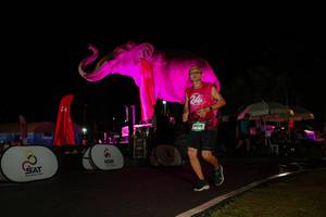 BIB: 
                            <button type="button" onclick="openModal(26543845)" class="btn btn-primary btn-sm float-right btn-popup" data-toggle="modal" data-target=".modal-high-quality">
                        <i class="fas fa-shopping-cart"></i> Add to Cart
                    </button>
                                            <button type="button" onclick="isThisMe(26543845, true)" class="btn btn-success btn-sm float-right btn-popup btn-isme hidden" data-toggle="tooltip" data-placement="bottom" title="นี่คือรูปของคุณใช่ไหม คลิกที่นี่เพื่อเอาเข้าอัลบั้ม">
                        <i class="fas fa-plus"></i> Add to album
                    </button>
                    <button type="button" onclick="isThisMe(26543845, false)" class="btn btn-warning btn-sm float-right btn-popup btn-isnotme hidden">
                        <i class="fas fa-ban"></i> Remove from album
                    </button>